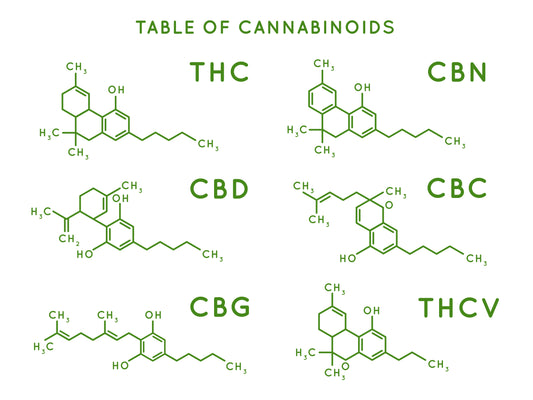 Let's Talk Cannabinoids: Exploring the World of Cannabis Compounds