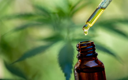 Navigating the Legal Landscape of CBD Laws and Regulations: Understanding the Current Framework