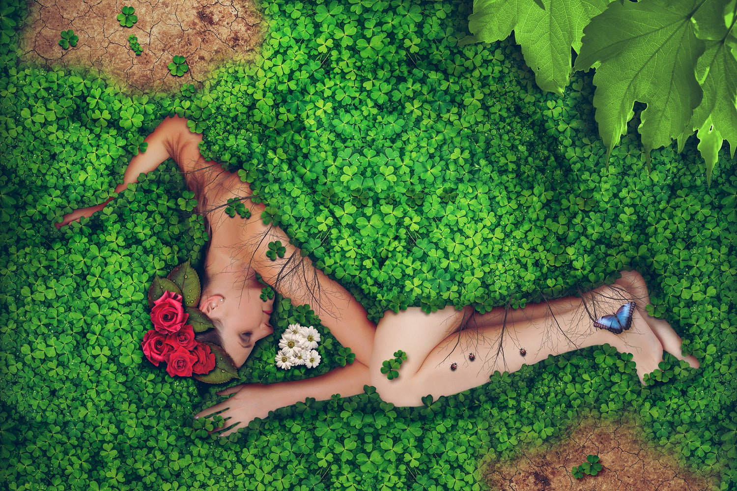 top down view of a woman sleeping on a green bed of clovers with roses on her head and a blue butterfly on her foot